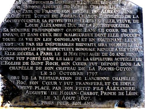 plaque_ortho.jpg plaque_ortho.jpg