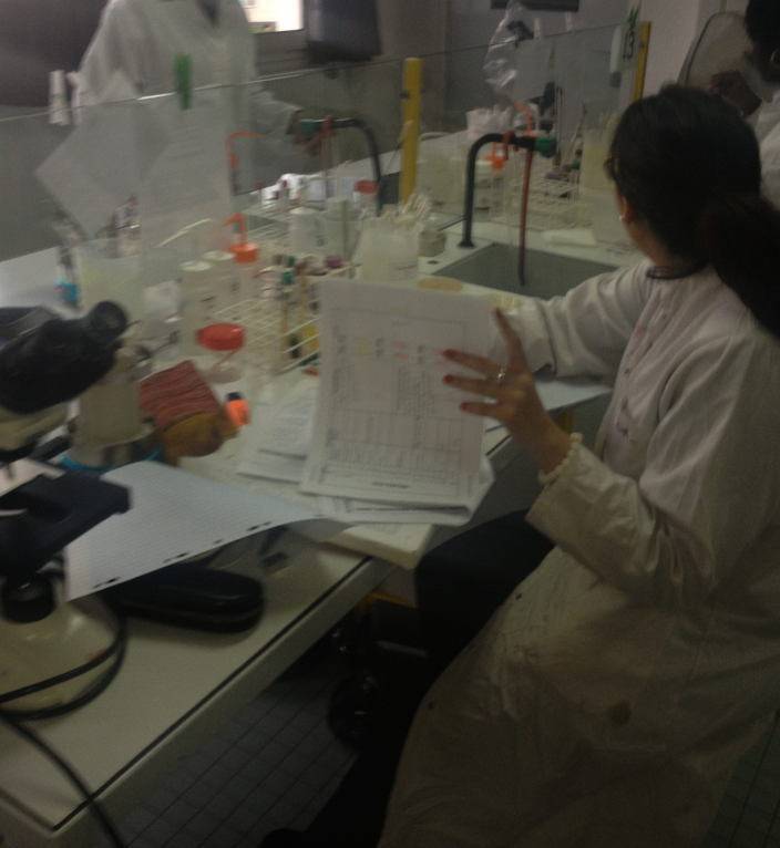 img_0880.jpg img_0880.jpg